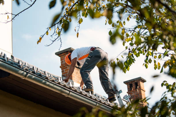 Best Metal Roofing Installation  in Colonial Beach, VA