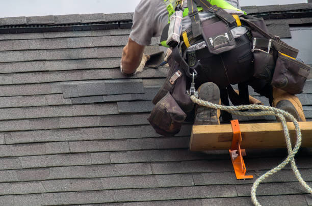 Best Roof Ventilation Installation  in Colonial Beach, VA