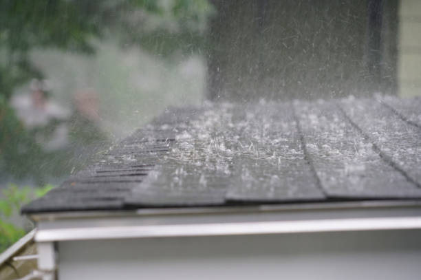 Best Sheet Metal Roofing  in Colonial Beach, VA