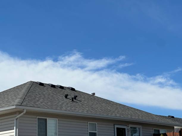 Best Cold Roofs  in Colonial Beach, VA